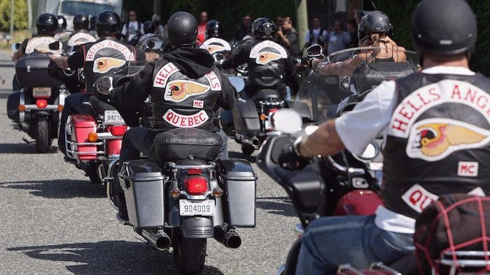 Démantèlement majeur à Montréal : 12 arrestations dans un réseau de drogue lié aux Hells Angels. #CrimeOrganisé #Montréal
